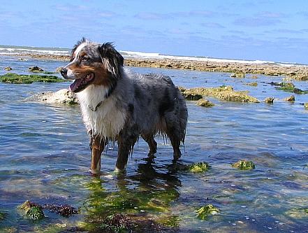 plage et mer