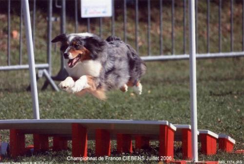Agility