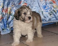 ENDY
