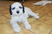 PIORKO 