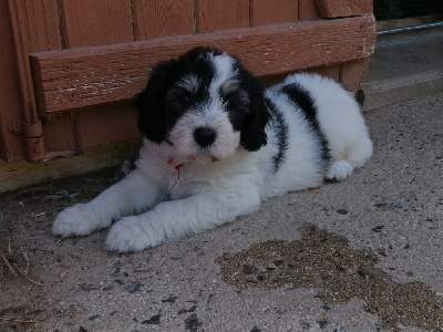ATHOS