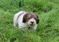ISKA