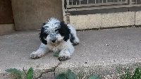 LUKIER