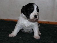 NACHA